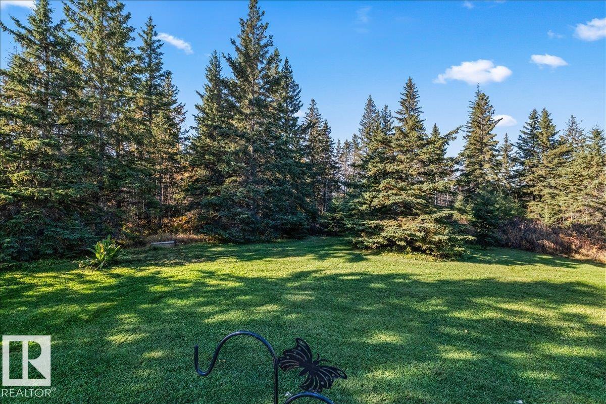 205 55504 Range 13 Rd, Rural Lac Ste. Anne County, Alberta T0E 1V5 - Photo 46 - E4513024