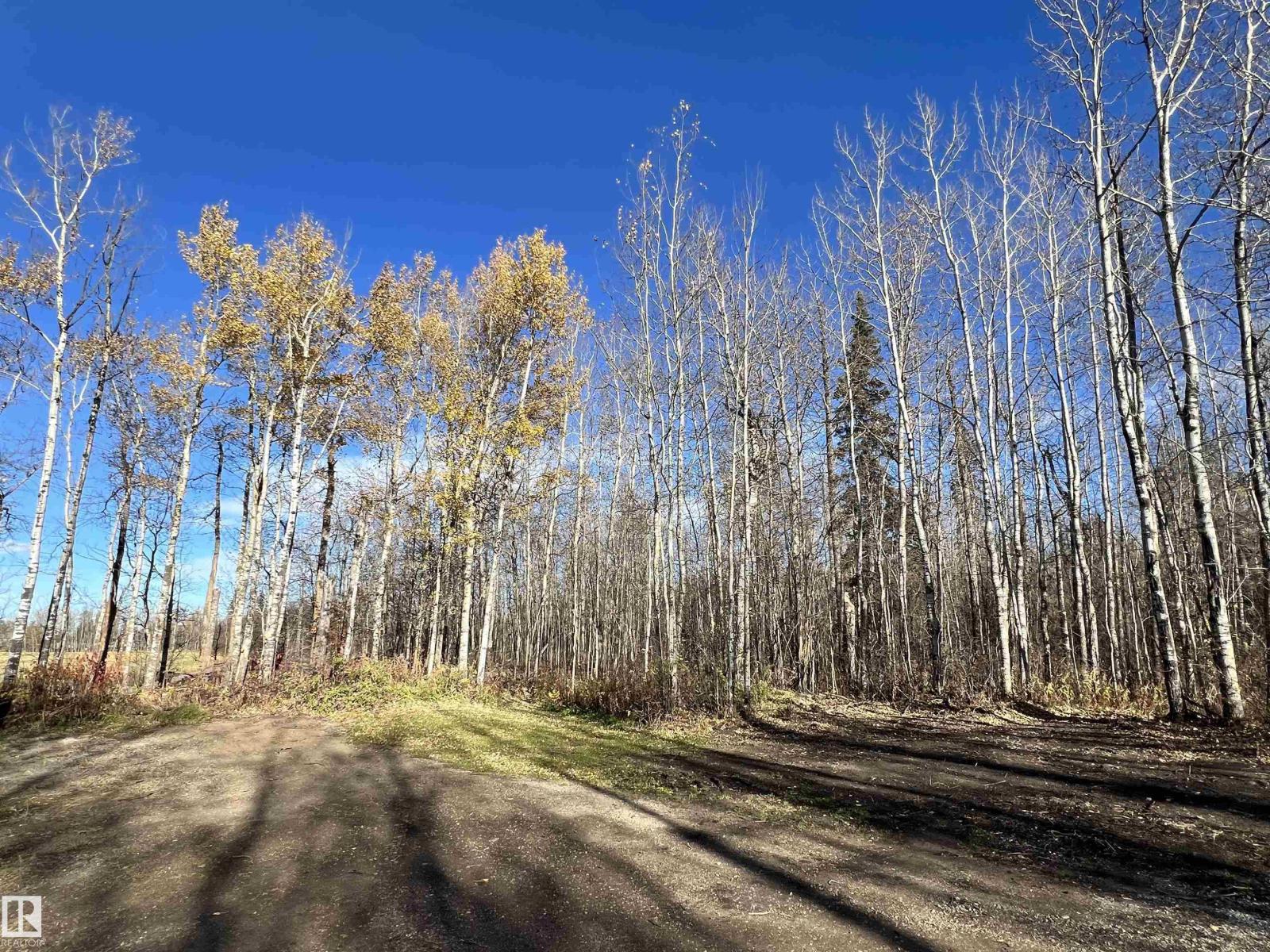 3314 Rail Grade Rd, Rural Lac Ste. Anne County, Alberta T0E 0A0 - Photo 27 - E4513465