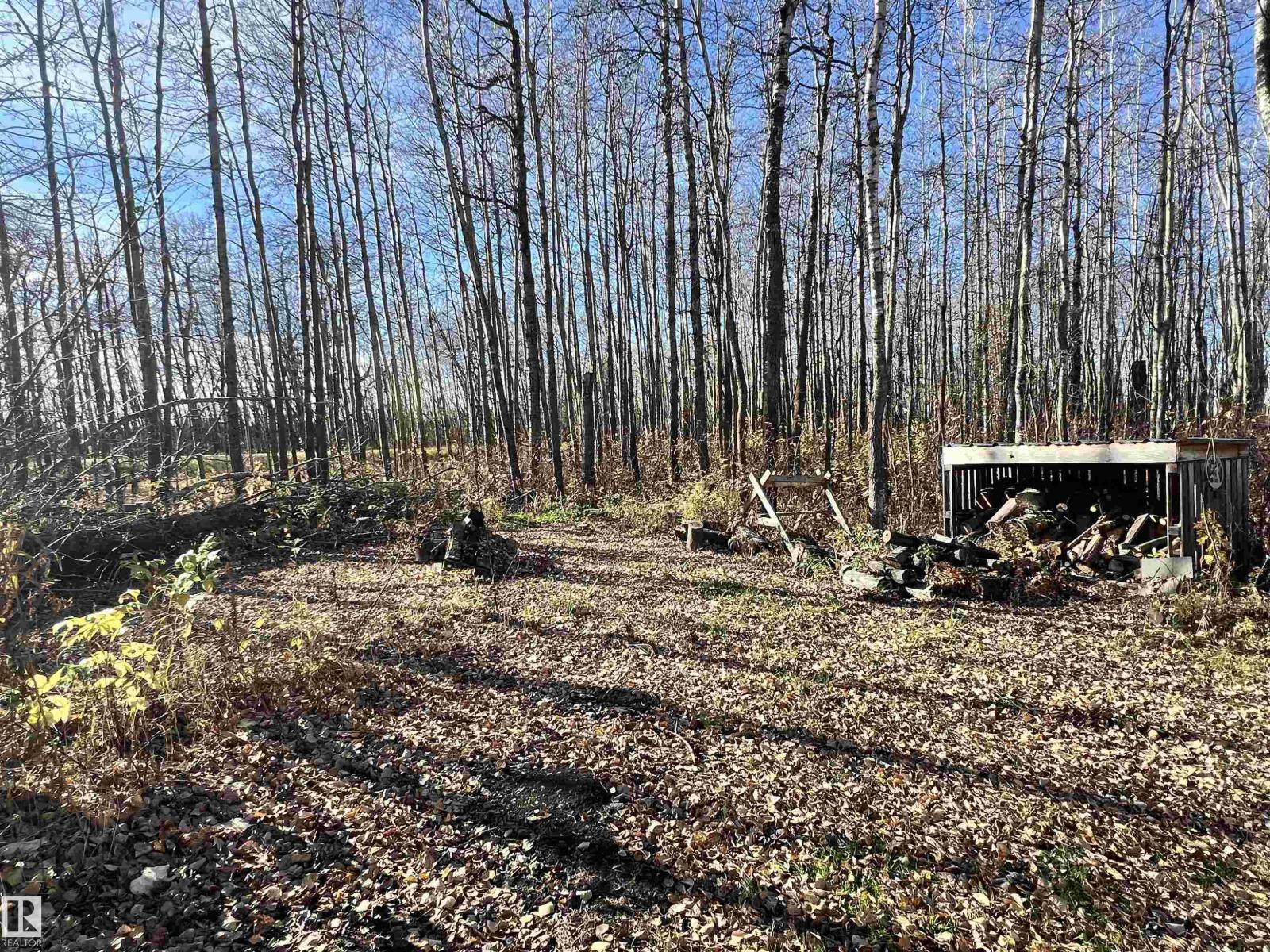 3314 Rail Grade Rd, Rural Lac Ste. Anne County, Alberta T0E 0A0 - Photo 29 - E4513465