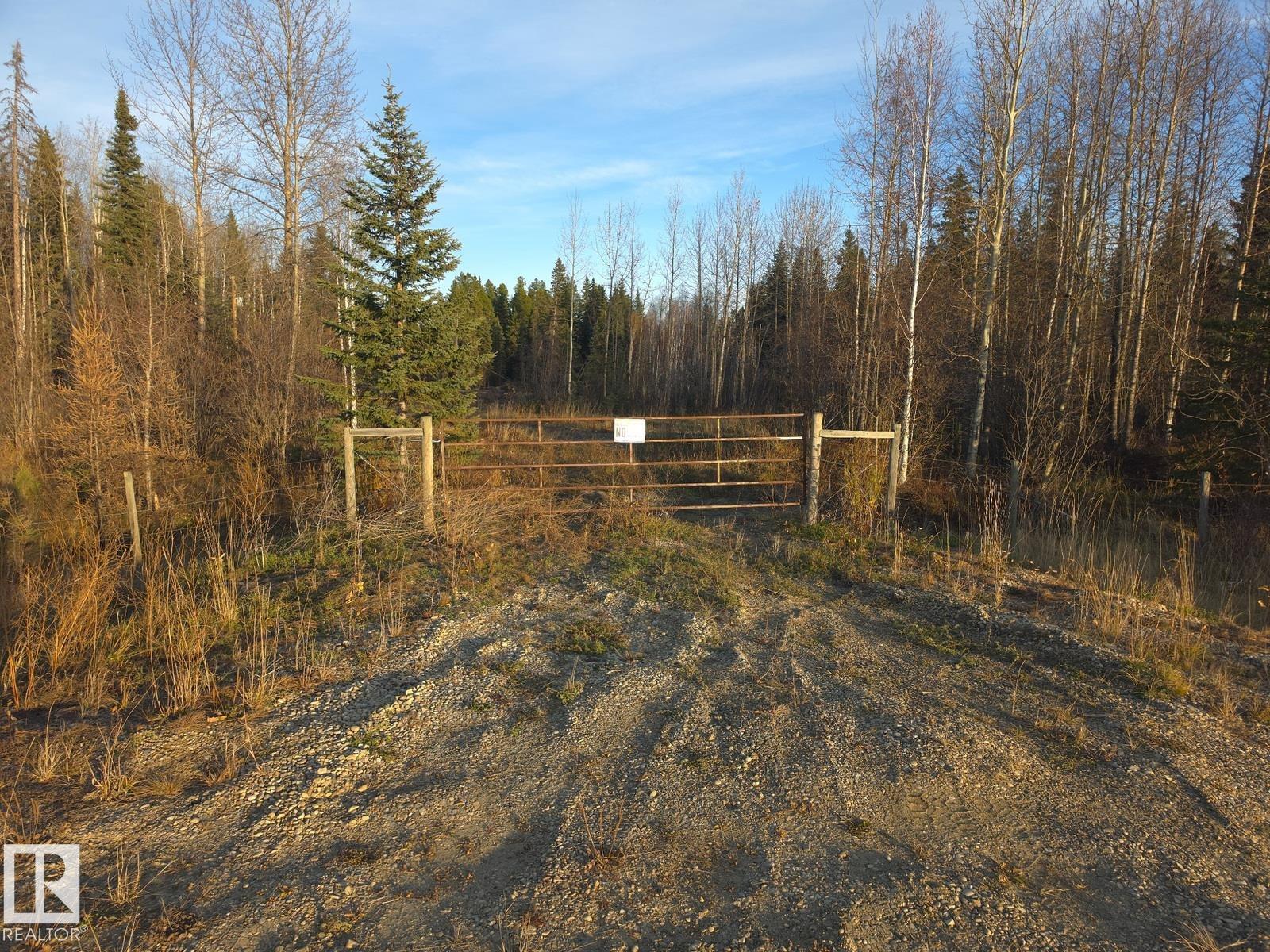 Rr 85 Township Rd 482, Rural Brazeau County, Alberta T7A 2A3 - Photo 3 - E4514006