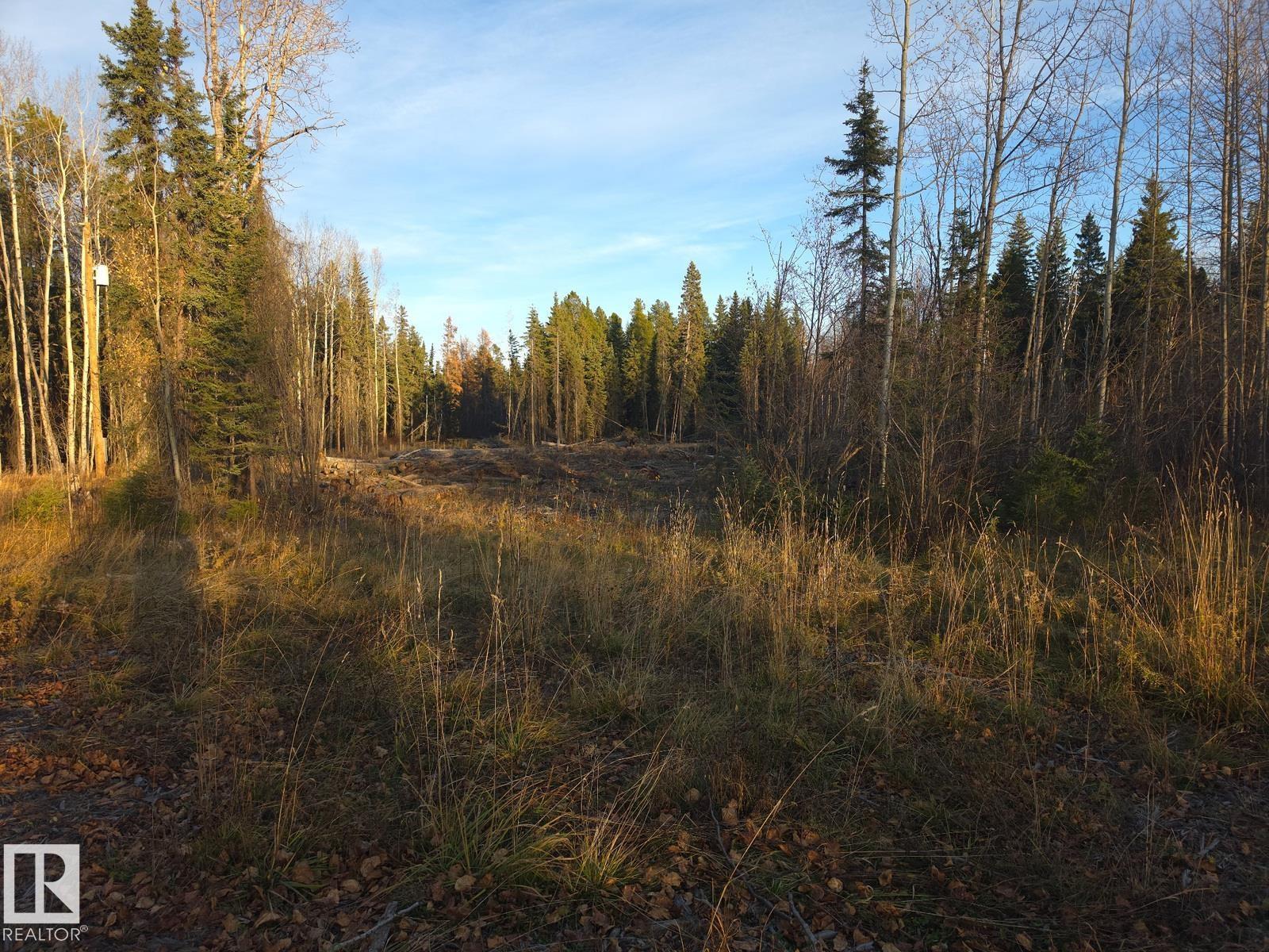 Rr 85 Township Rd 482, Rural Brazeau County, Alberta T7A 2A3 - Photo 4 - E4514006