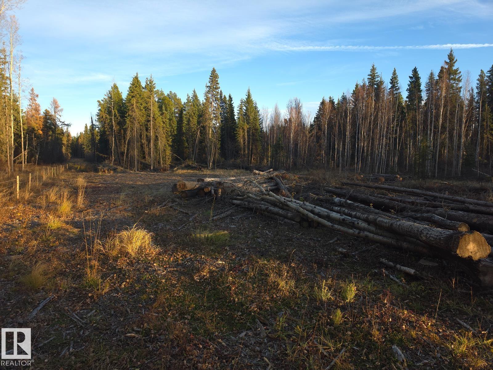 Rr 85 Township Rd 482, Rural Brazeau County, Alberta T7A 2A3 - Photo 6 - E4514006
