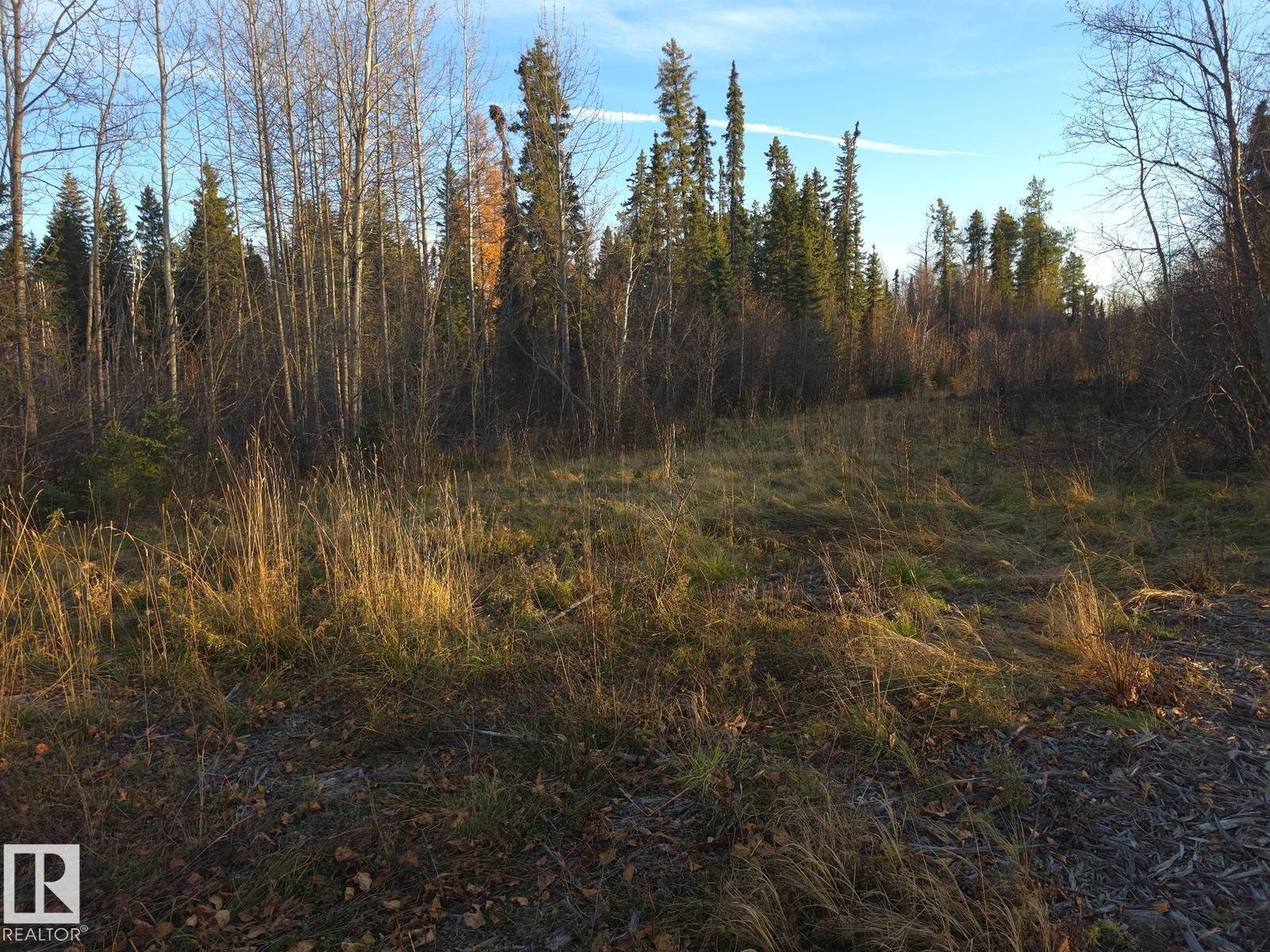 Rr 85 Township Rd 482, Rural Brazeau County, Alberta T7A 2A3 - Photo 7 - E4514006