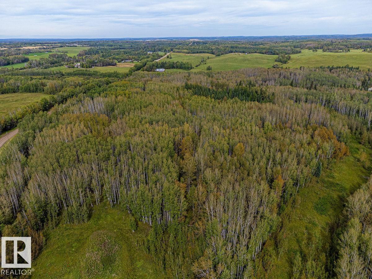 Sw-29-49-5-W5, Rural Brazeau County, Alberta T0C 1W0 - Photo 11 - E4514030