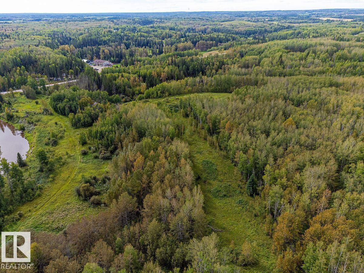 Sw-29-49-5-W5, Rural Brazeau County, Alberta T0C 1W0 - Photo 13 - E4514030