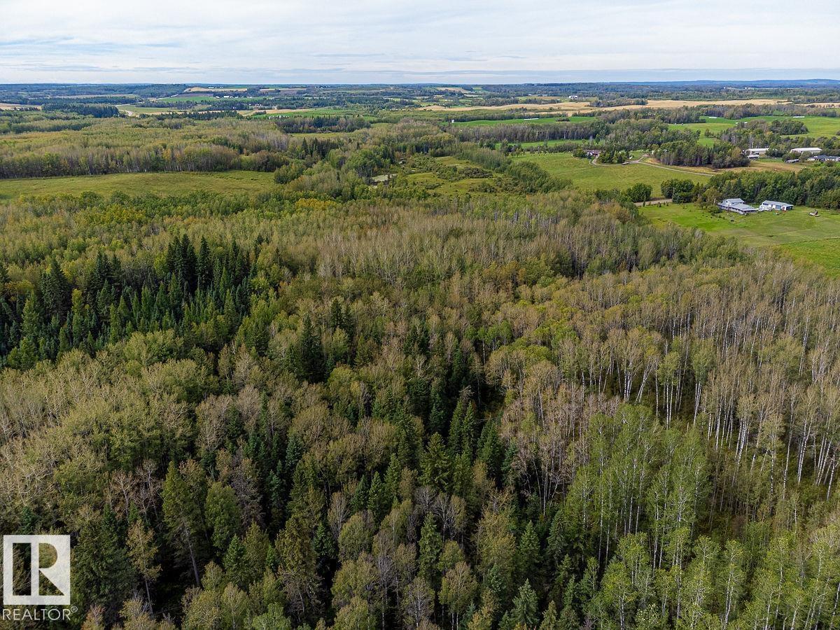 Sw-29-49-5-W5, Rural Brazeau County, Alberta T0C 1W0 - Photo 14 - E4514030