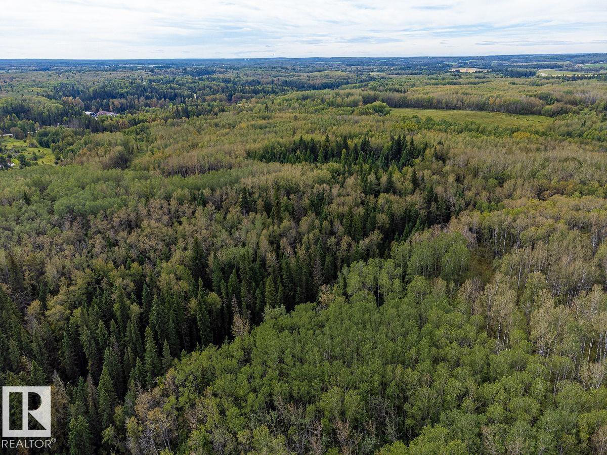 Sw-29-49-5-W5, Rural Brazeau County, Alberta T0C 1W0 - Photo 16 - E4514030