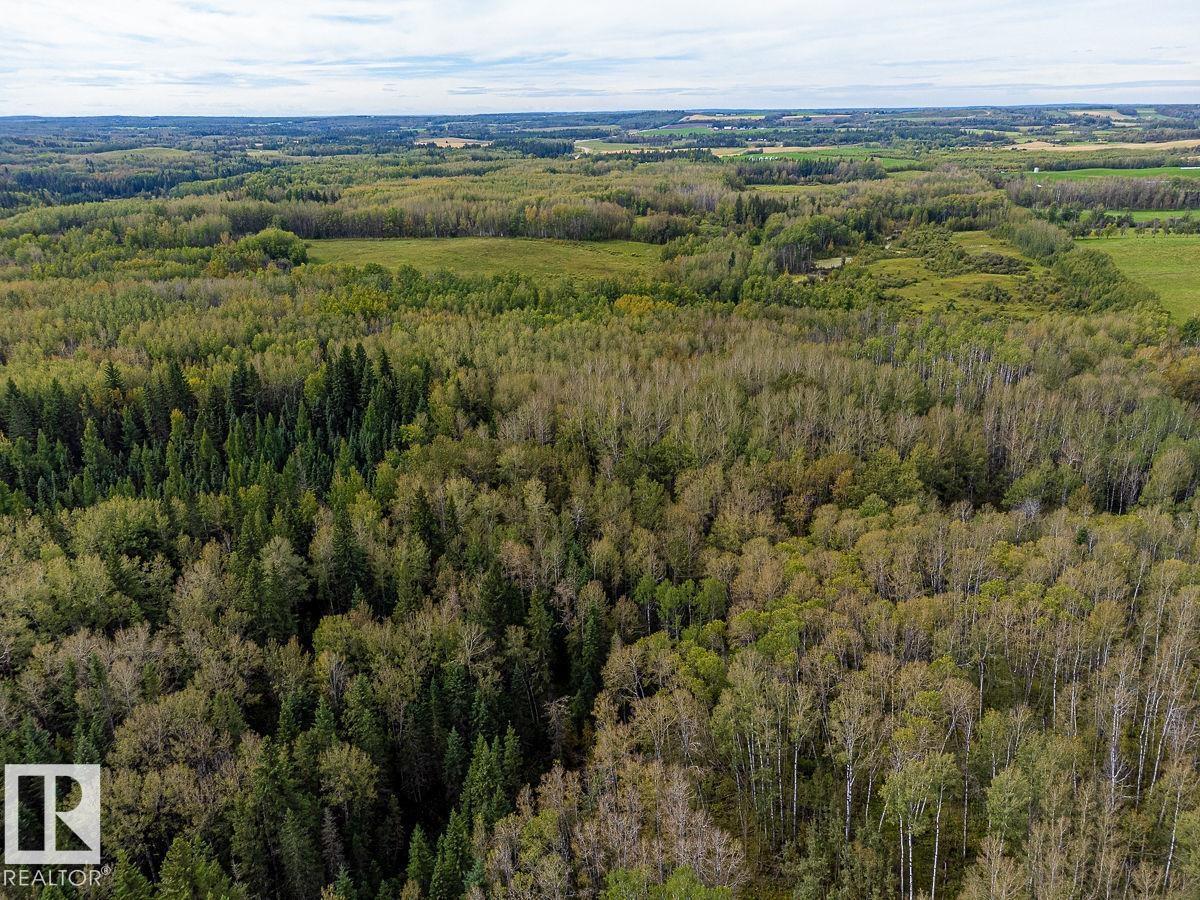 Sw-29-49-5-W5, Rural Brazeau County, Alberta T0C 1W0 - Photo 17 - E4514030