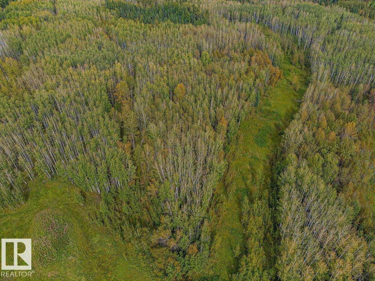 Sw-29-49-5-W5, Rural Brazeau County, Alberta T0C 1W0 - Photo 23 - E4514030