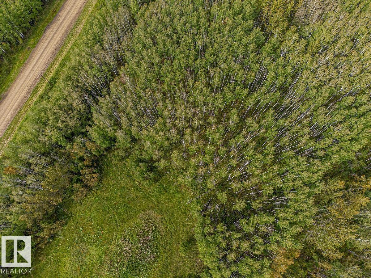 Sw-29-49-5-W5, Rural Brazeau County, Alberta T0C 1W0 - Photo 24 - E4514030