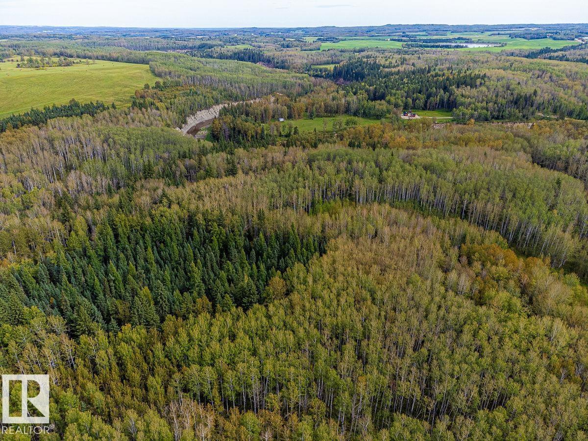 Sw-29-49-5-W5, Rural Brazeau County, Alberta T0C 1W0 - Photo 25 - E4514030