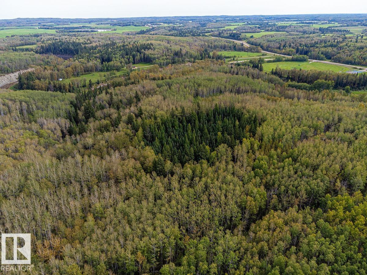 Sw-29-49-5-W5, Rural Brazeau County, Alberta T0C 1W0 - Photo 26 - E4514030