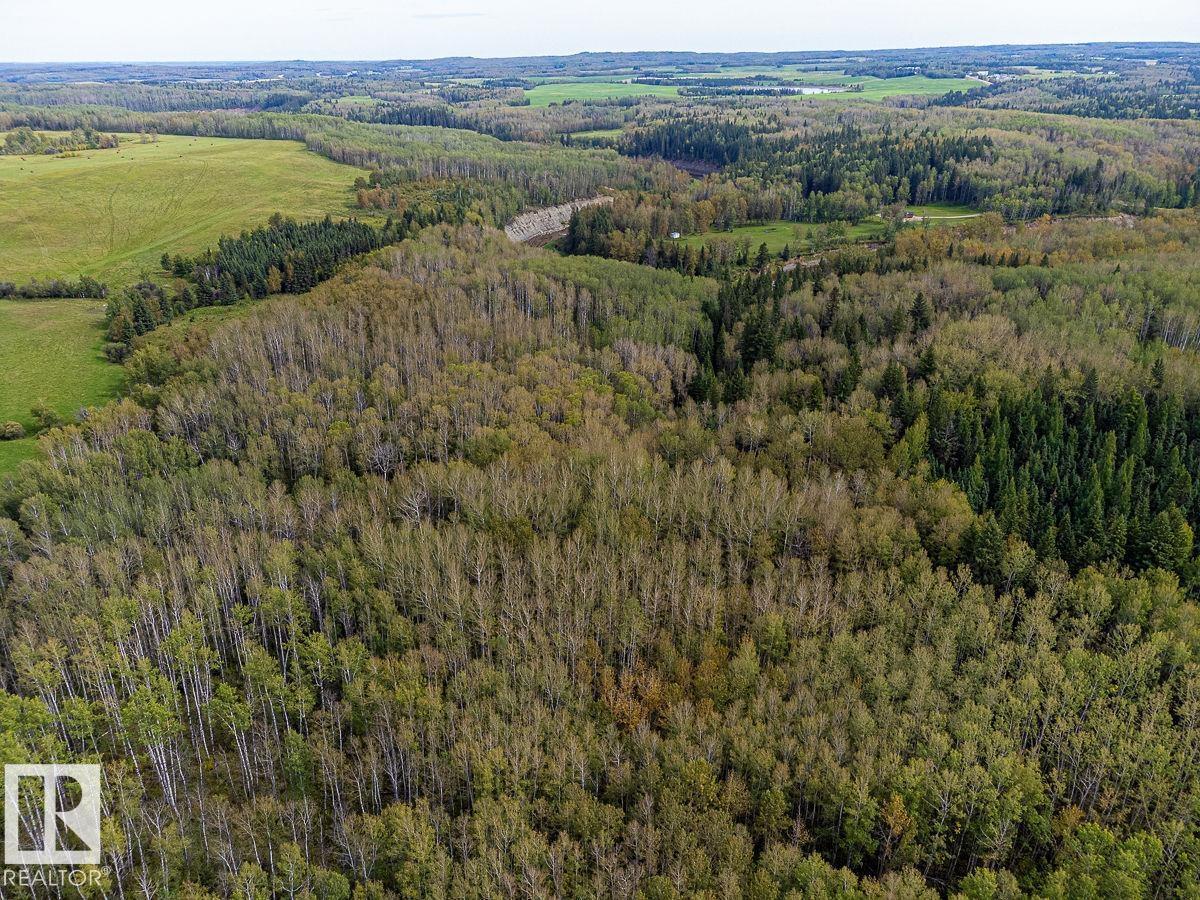 Sw-29-49-5-W5, Rural Brazeau County, Alberta T0C 1W0 - Photo 27 - E4514030