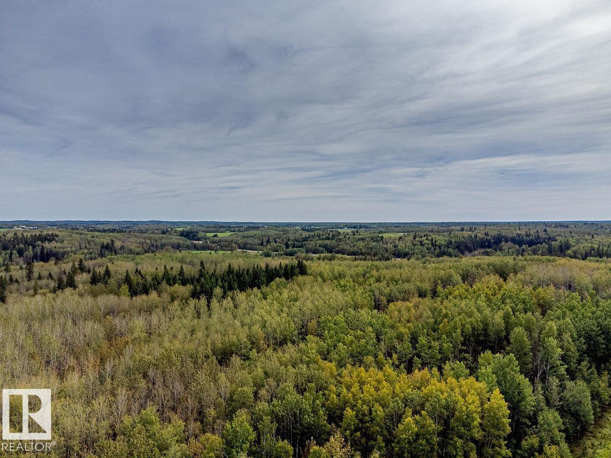 Sw-29-49-5-W5, Rural Brazeau County, Alberta T0C 1W0 - Photo 4 - E4514030