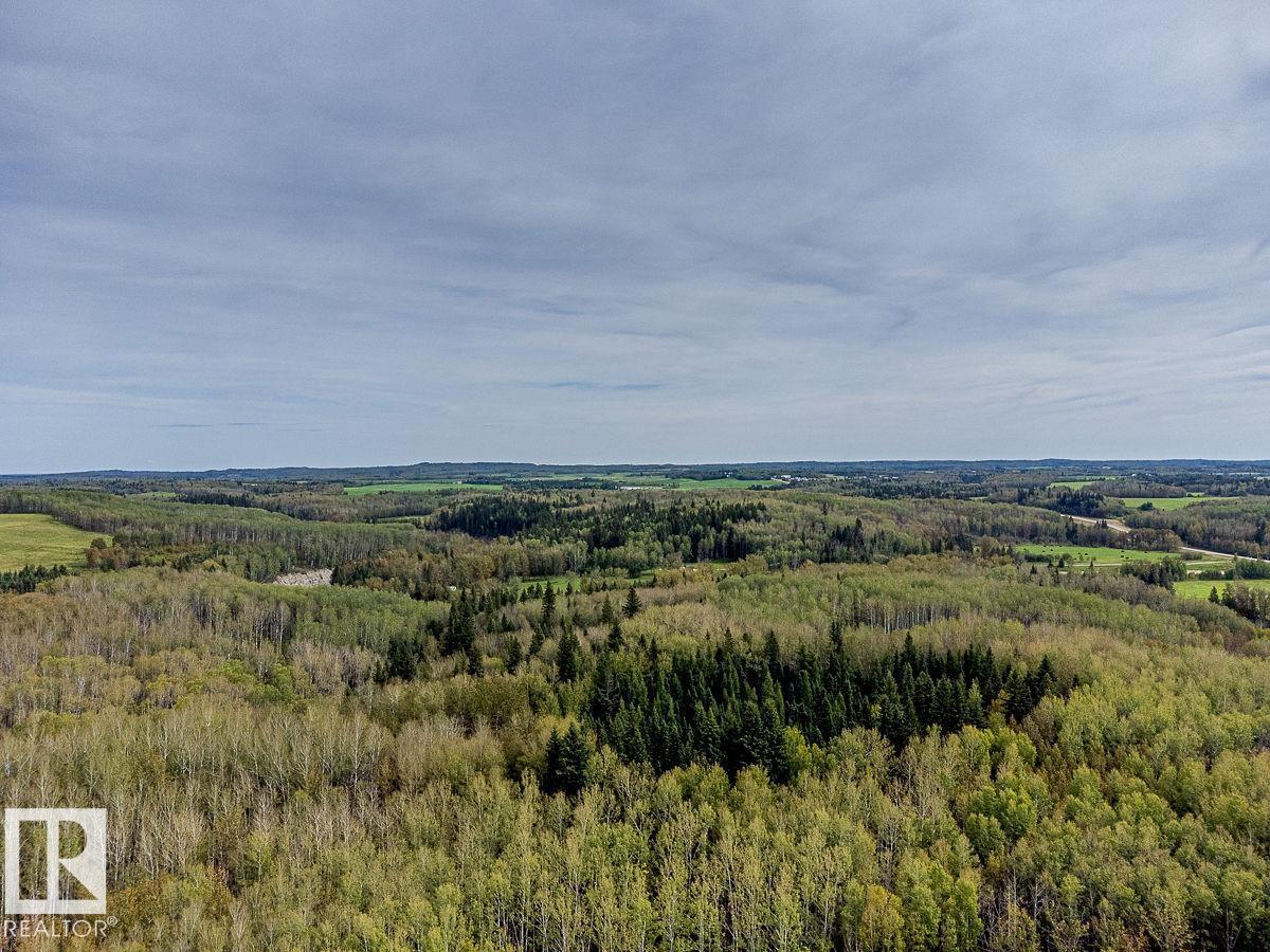 Sw-29-49-5-W5, Rural Brazeau County, Alberta T0C 1W0 - Photo 5 - E4514030