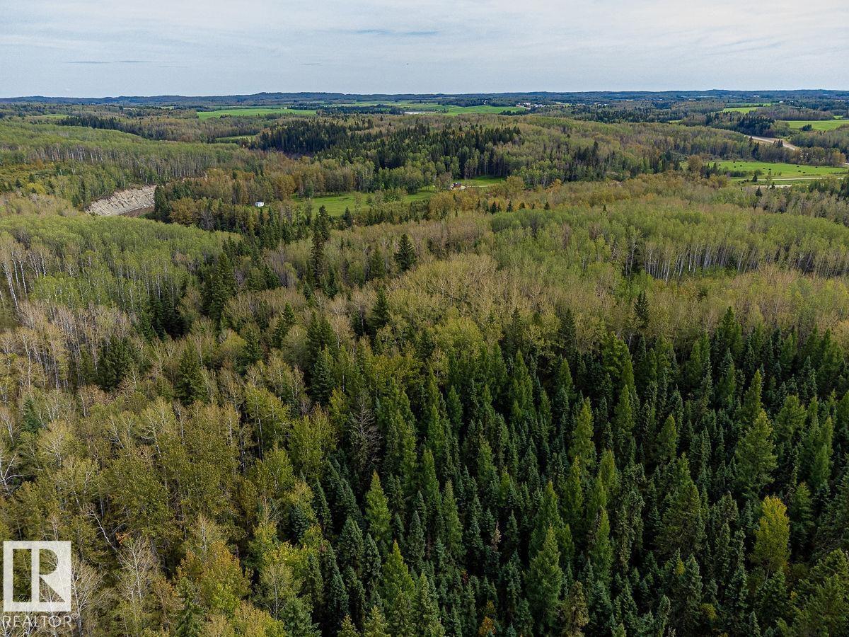 Sw-29-49-5-W5, Rural Brazeau County, Alberta T0C 1W0 - Photo 6 - E4514030