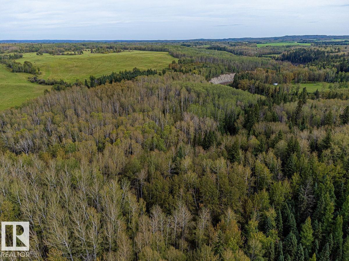 Sw-29-49-5-W5, Rural Brazeau County, Alberta T0C 1W0 - Photo 7 - E4514030
