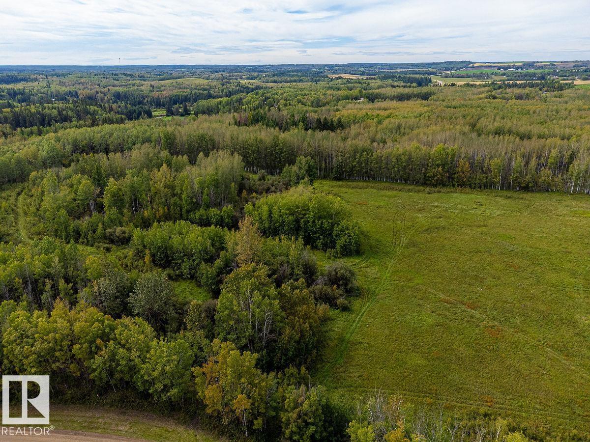 5430 Twp Road 494, Rural Brazeau County, Alberta  T0C 1W0 - Photo 6 - E4514031
