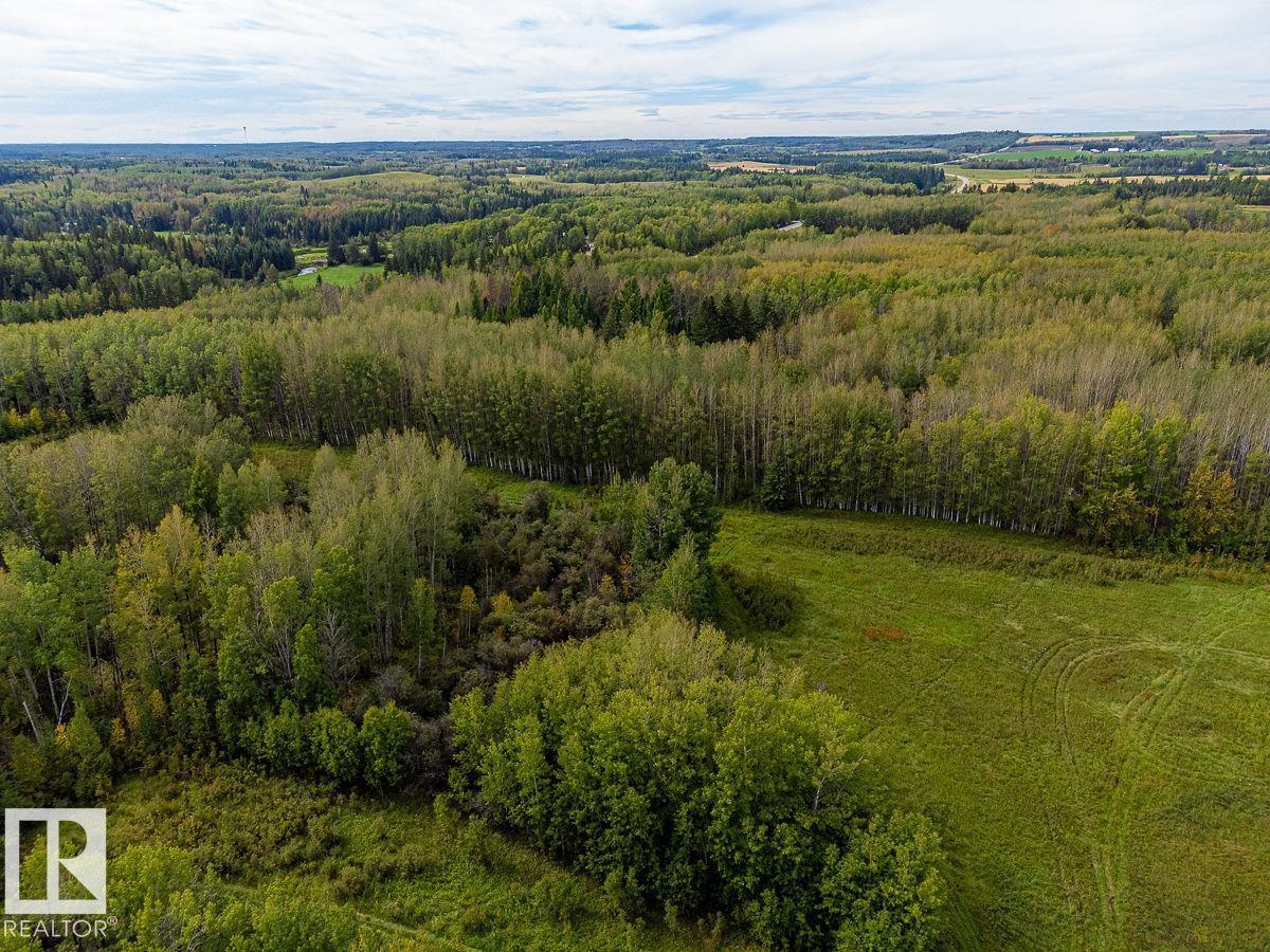 5430 Twp Road 494, Rural Brazeau County, Alberta  T0C 1W0 - Photo 7 - E4514031