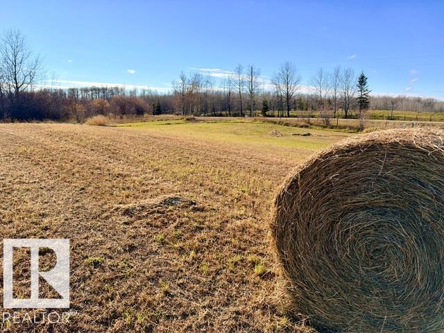 Lot 2, Block 1 Plan 2021403, Rural Lac Ste. Anne County, Alberta  T0E 0A0 - Photo 1 - E4514351