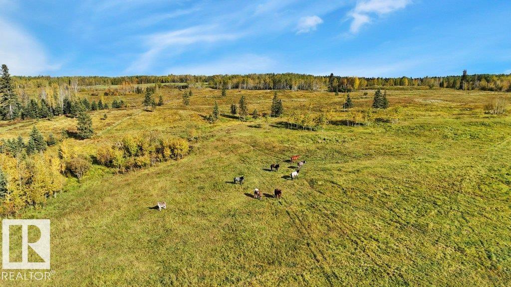 15048 Hwy 611, Zzz - Fake Area Value, Alberta  T0C 0M0 - Photo 43 - E4514483